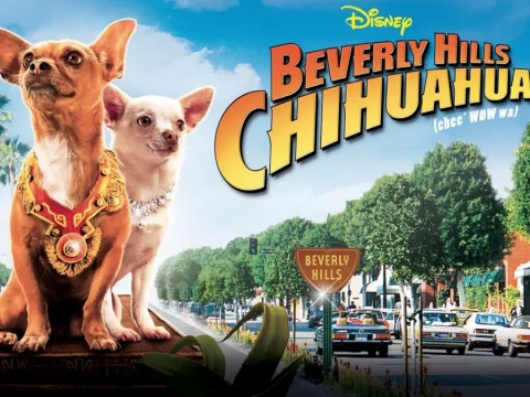 รีวิว Beverly Hills Chihuahua (2008) คุณหมาไฮโซ โกบ้านนอก