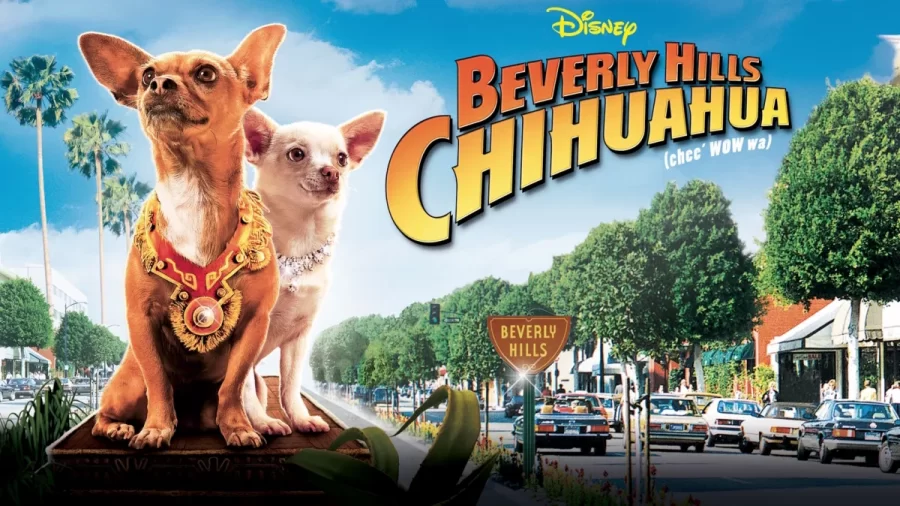 รีวิว Beverly Hills Chihuahua (2008) คุณหมาไฮโซ โกบ้านนอก